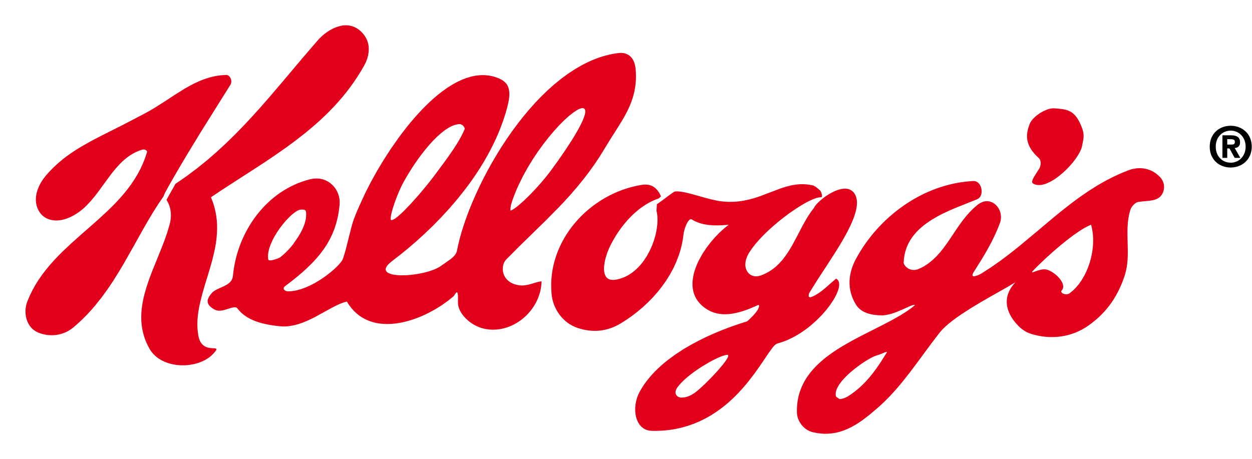 kelloggs